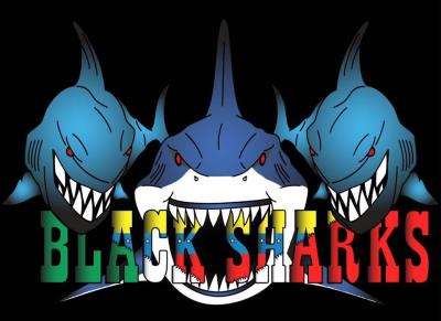 Logo Black Sharks Torino  