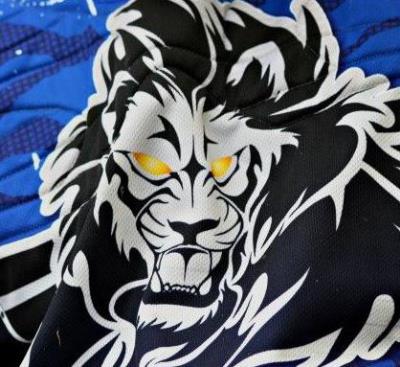 Logo Flying Lions