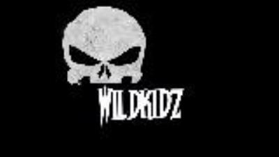Logo Wild Kidz